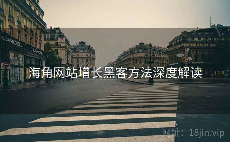 海角网站增长黑客方法深度解读