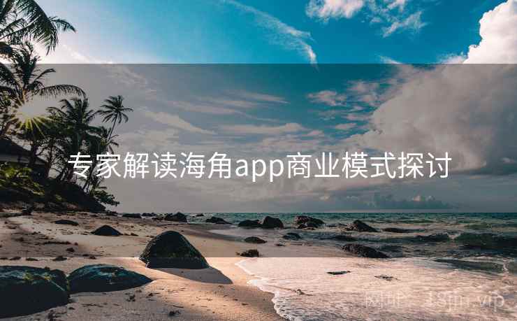 专家解读海角app商业模式探讨