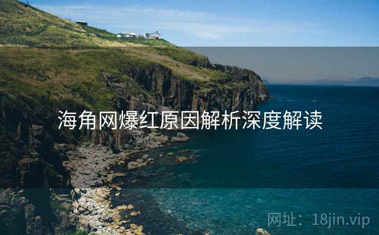 海角网爆红原因解析深度解读