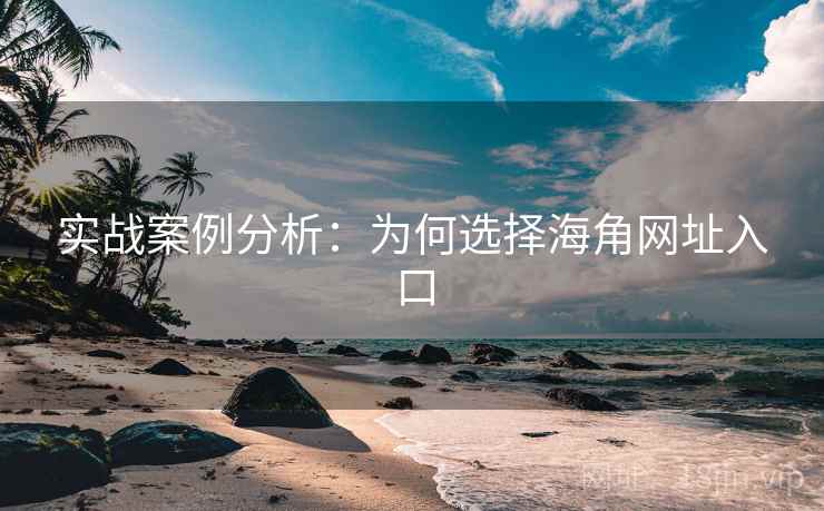 实战案例分析：为何选择海角网址入口