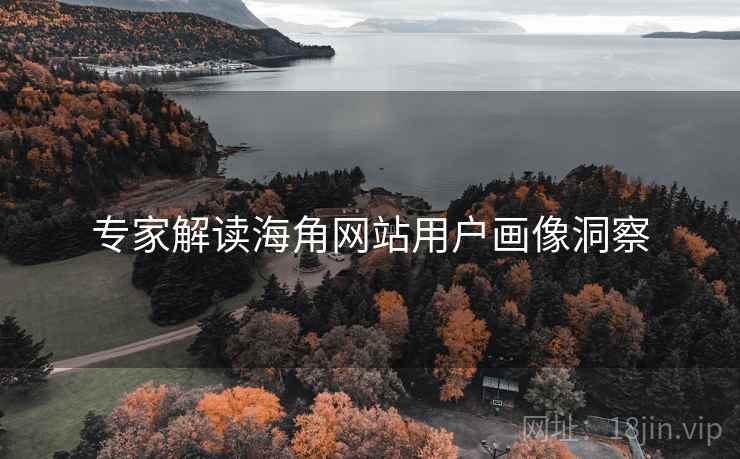 专家解读海角网站用户画像洞察