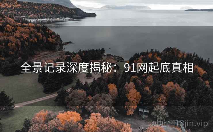 全景记录深度揭秘：91网起底真相