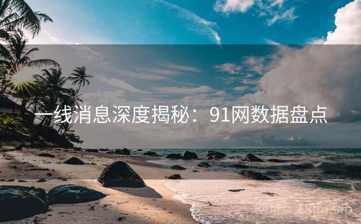 一线消息深度揭秘：91网数据盘点