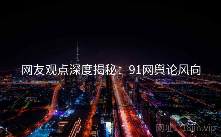 网友观点深度揭秘：91网舆论风向