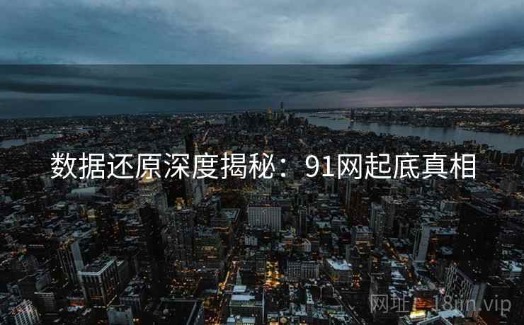 数据还原深度揭秘：91网起底真相